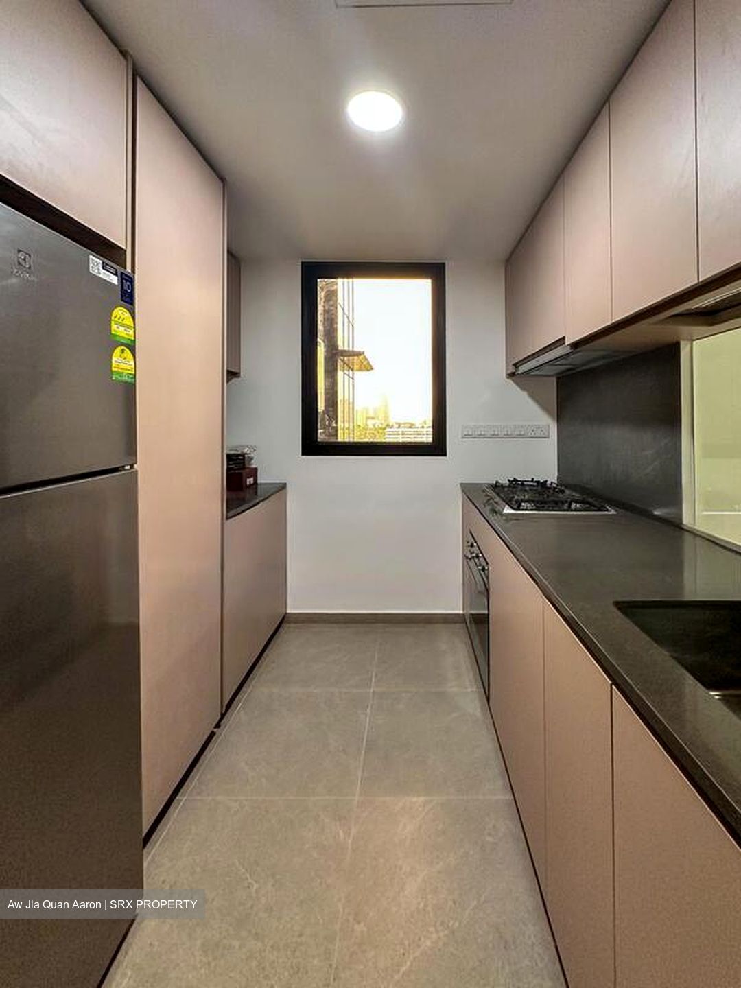 Kopar At Newton (D9), Apartment #469091441